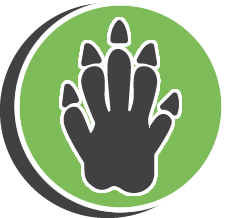 TJs Mole Pest Control