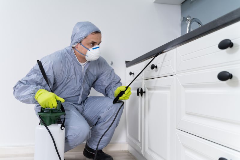 Silverfish Extermination in Katy, TX